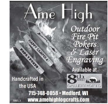 recordreview_20240717_trr-2024-07-17-b-018_art_4.xml