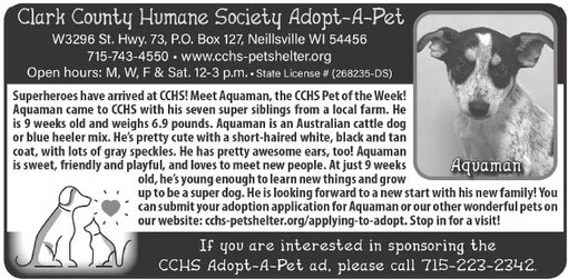 recordgleaner_20240717_trg-2024-07-17-a-012_w-ocr_art_4.xml