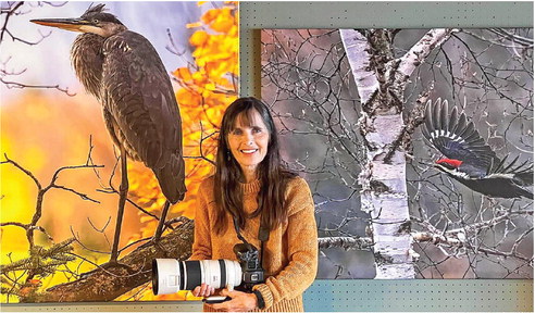 Steeple Gallery and the creative center