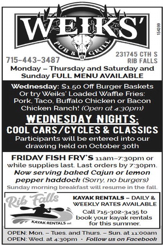 recordreview_20240703_trr-2024-07-03-0-002_art_4.xml