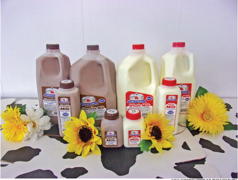 Farmer Boy Creamery creates fresh, digestible milk in  Dorchester