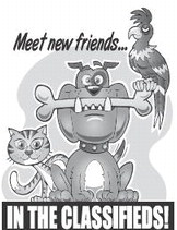 recordgleaner_20240731_trg-2024-07-31-0-023_art_4.xml