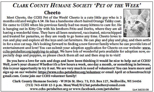 tribunephonograph_20240724_ttp-2024-07-24-0-013_art_5.xml