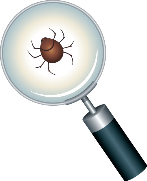 Marshfield Clinic needs ticks for research purposes Marshfield Clinic needs ticks for research purposes