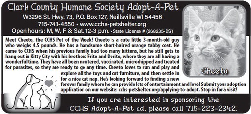 recordgleaner_20240724_trg-2024-07-24-0-008_art_2.xml