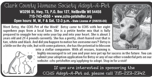 recordgleaner_20240731_trg-2024-07-31-0-008_art_1.xml