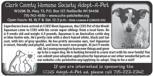 recordgleaner_20240717_trg-2024-07-17-a-012_art_6.xml