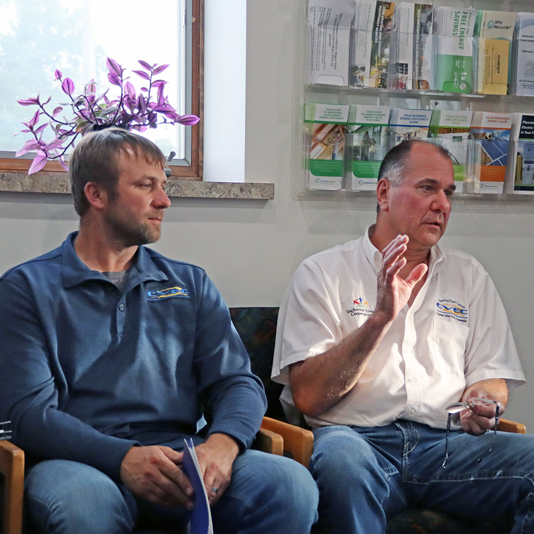 Sale of electrical utility is not a done deal