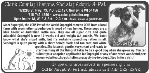 recordgleaner_20240807_trg-2024-08-07-0-008_w-ocr_art_5.xml