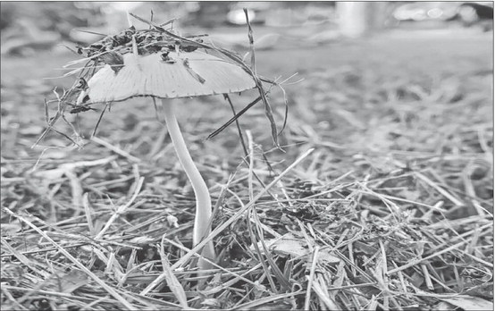 I take the fall, for the good of the baby shower