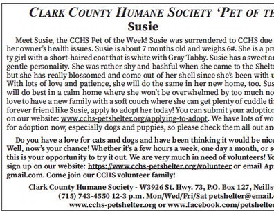 tribunephonograph_20240821_ttp-2024-08-21-a-011_art_6.xml