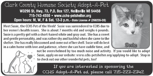 recordgleaner_20240821_trg-2024-08-21-a-008_art_2.xml