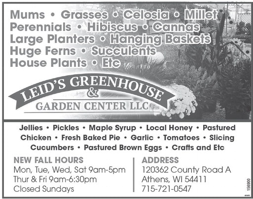 recordreview_20240821_trr-2024-08-21-0-008_w-opt_art_12.xml