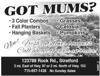 recordreview_20240828_trr-2024-08-28-0-011_art_3.xml