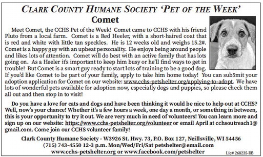 tribunephonograph_20240828_ttp-2024-08-28-0-011_art_3.xml