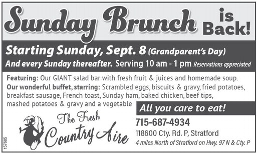 recordreview_20240904_trr-2024-09-04-0-013_art_5.xml