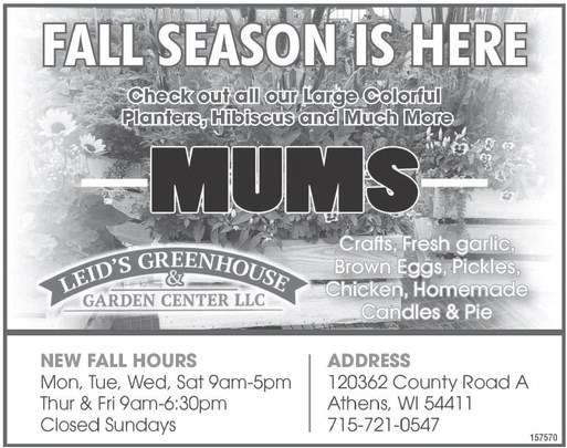 recordreview_20240904_trr-2024-09-04-0-013_art_6.xml