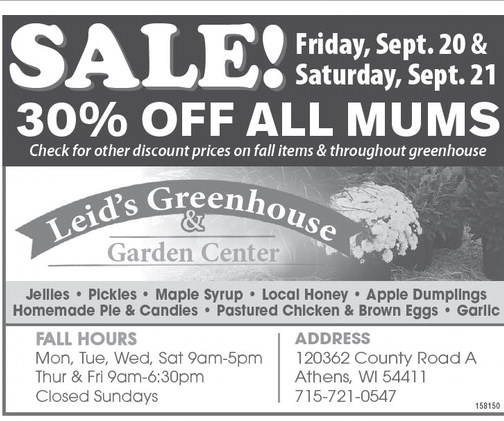 recordreview_20240918_trr-2024-09-18-0-008_w-opt_art_4.xml