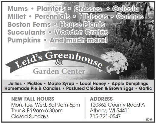 recordreview_20240911_trr-2024-09-11-0-008_art_2.xml