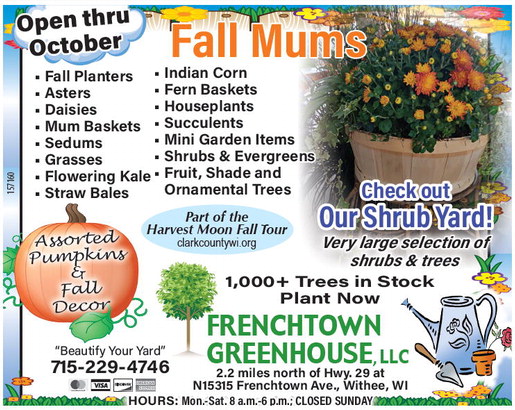 recordreview_20240918_trr-2024-09-18-0-016_art_4.xml