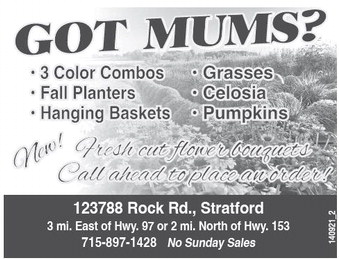 recordreview_20240911_trr-2024-09-11-0-014_art_4.xml