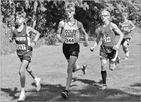 Colby girls take third, co-op boys place sixth at Loyal