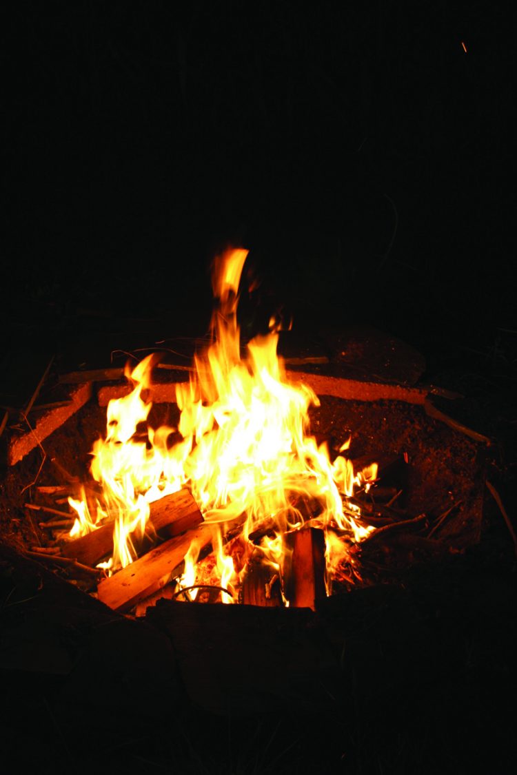 Source local firewood for any of your fall festivities Source local firewood for any of your fall festivities