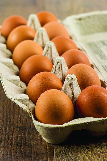 Eggs recalled over chain of Salmonella infections Eggs recalled over chain of Salmonella infections