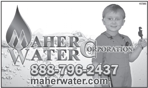 recordreview_20240918_trr-2024-09-18-0-016_art_2.xml