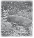 An Outdoorsman’s Journal An Outdoorsman’s Journal
