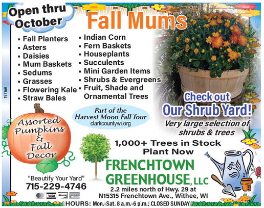 tribunephonograph_20240918_ttp-2024-09-18-0-018_art_5.xml