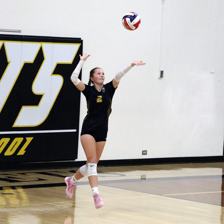 Hornets take two out of four in home tournament Hornets take two out of four in home tournament