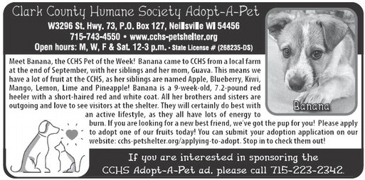 recordgleaner_20241023_trg-2024-10-23-0-011_art_7.xml