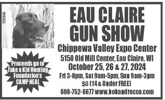 recordgleaner_20241023_trg-2024-10-23-0-008_art_7.xml