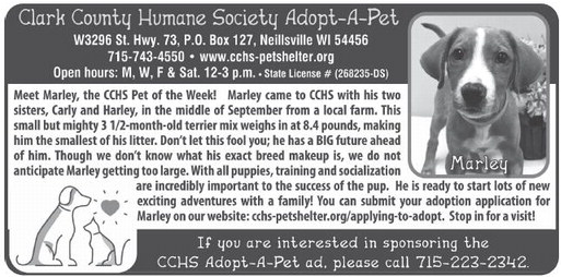 recordgleaner_20241016_trg-2024-10-16-0-008_art_2.xml