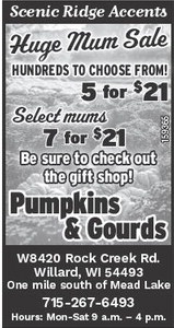 recordgleaner_20241016_trg-2024-10-16-0-007_art_2.xml