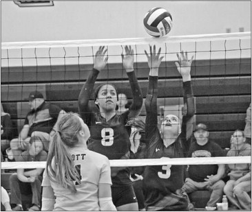 Abbotsford volleyball