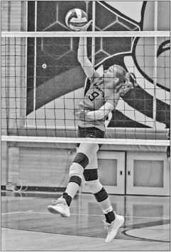 Hornets fall in tight road match against Columbus Hornets fall in tight road match against Columbus