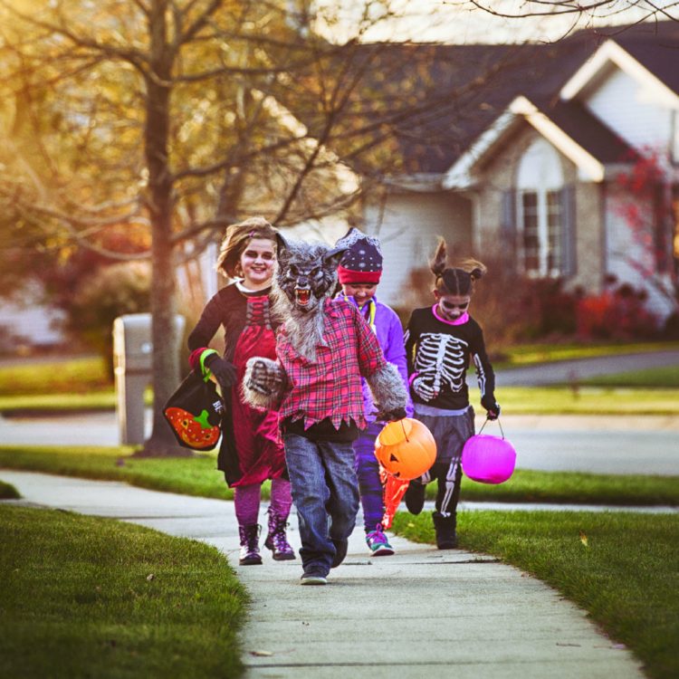 Stay a step ahead of driving to keep all pedestrians safe Stay a step ahead of driving to keep all pedestrians safe