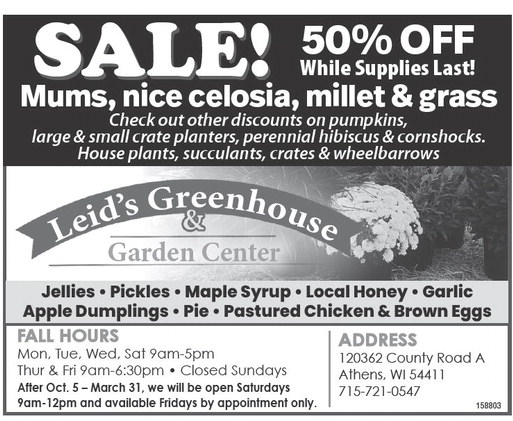 recordreview_20241002_trr-2024-10-02-0-011_art_4.xml