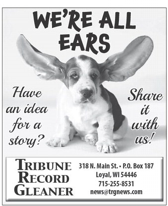 recordgleaner_20241023_trg-2024-10-23-0-009_art_2.xml