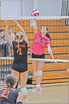 Hornets volleyball Hornets volleyball