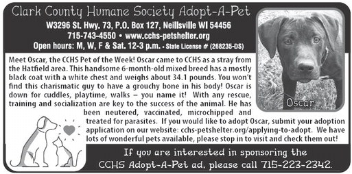 recordgleaner_20241030_trg-2024-10-30-0-009_w-socr_art_1.xml