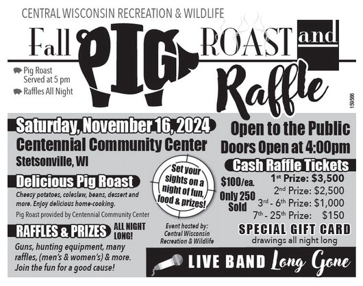 recordreview_20241113_trr-2024-11-13-b-019_art_3.xml