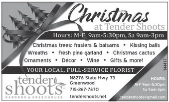 recordgleaner_20241113_trg-2024-11-13-a-006_art_3.xml