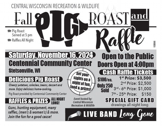 recordgleaner_20241113_trg-2024-11-13-b-019_art_3.xml