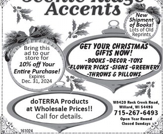 recordgleaner_20241120_trg-2024-11-20-0-004_art_3.xml