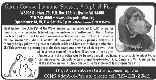 recordgleaner_20241127_trg-2024-11-27-0-020_art_3.xml