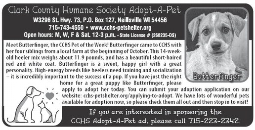 recordgleaner_20241113_trg-2024-11-13-a-011_art_4.xml