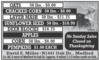 recordreview_20241113_trr-2024-11-13-b-018_art_3.xml